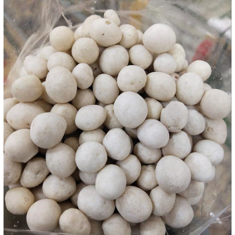 

KACANG SUKRO PUTIH SPECIAL 1 KG