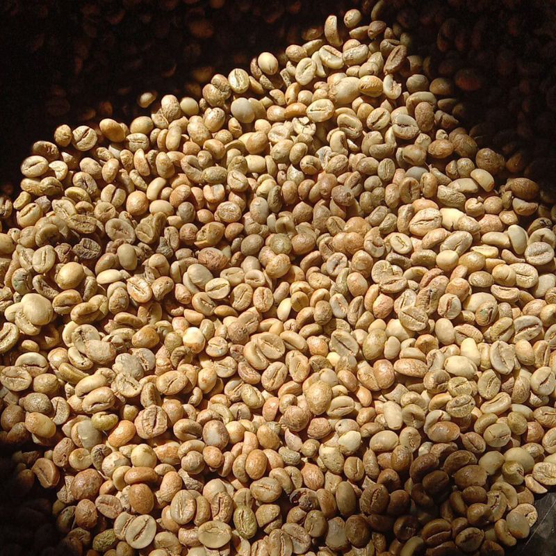 

biji kopi robusta Sinar Jaya