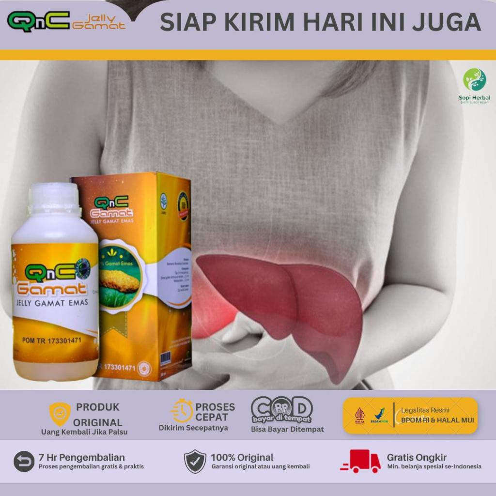 QNC Jelly Gamat Obat Liver Perut Membesar - Obat untuk Liver Bengkak - Obat Liver Akut - Obat Liver 