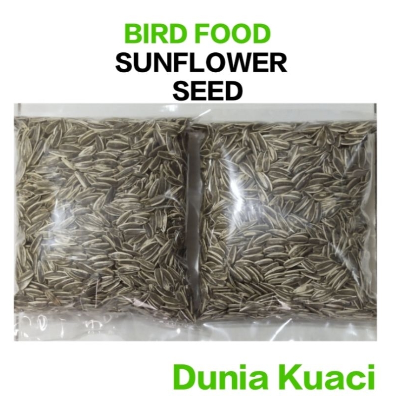 KUACI JUMBO PAKAN BURUNG   1 KG