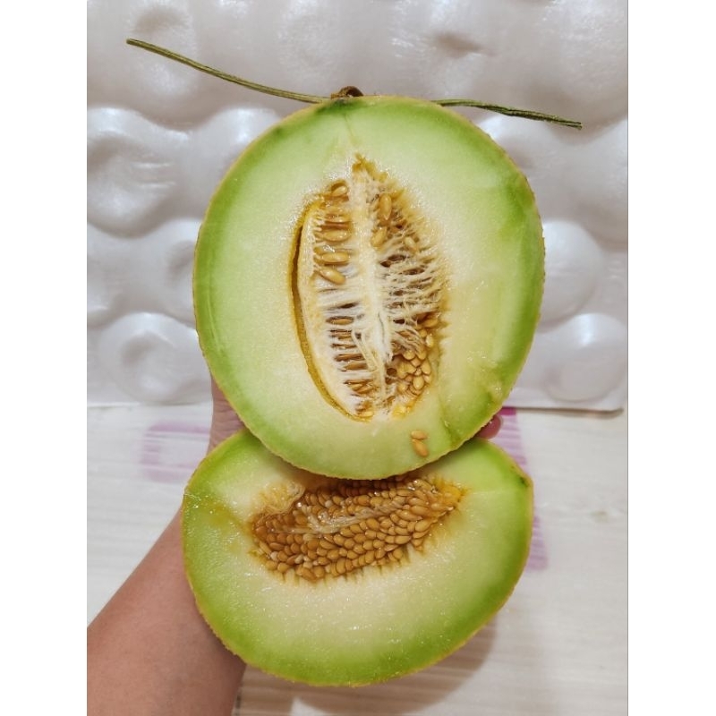 

Melon Inthanon sweet juice n crunchy