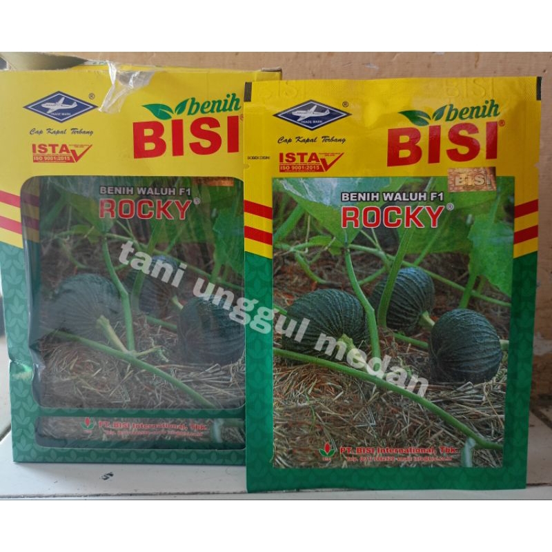 Benih Labu Kuning Hibrida Rocky isi 5 gram