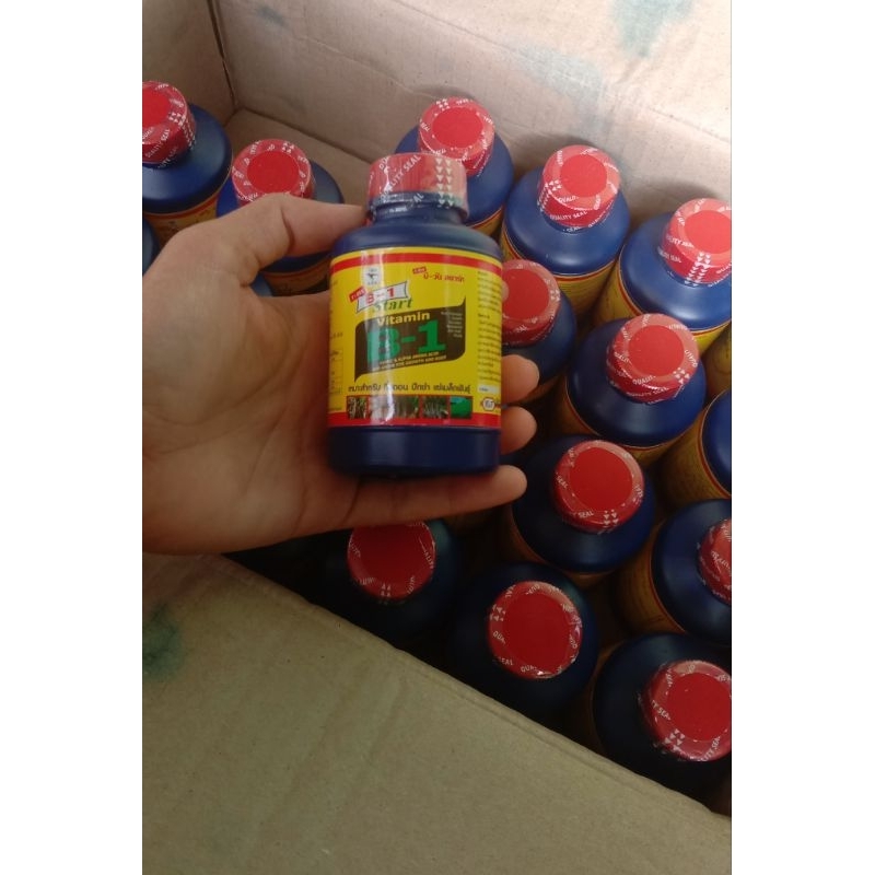 Pupuk B1 Thailand ORI