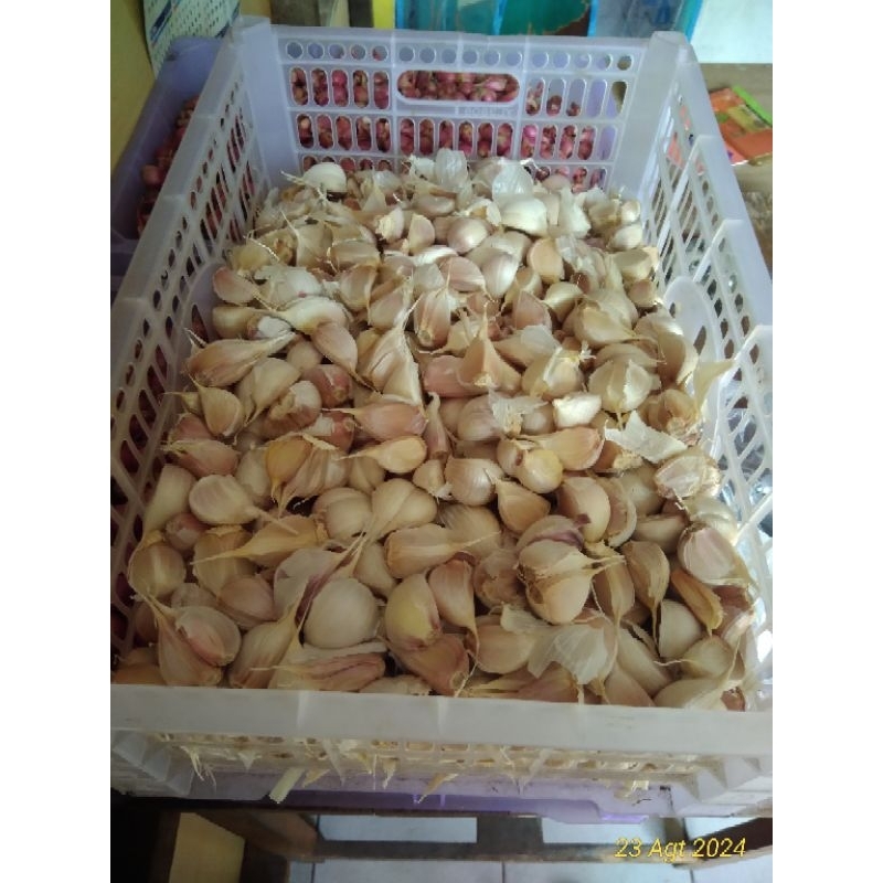 

BAWANG PUTIH KATING