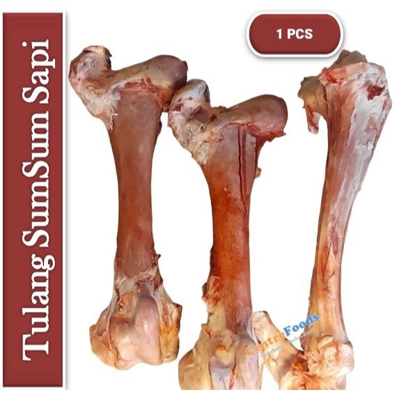 

Tulang SumSum Sapi - Beef Fresh | 1 PCS [ Harga Per PCS ]