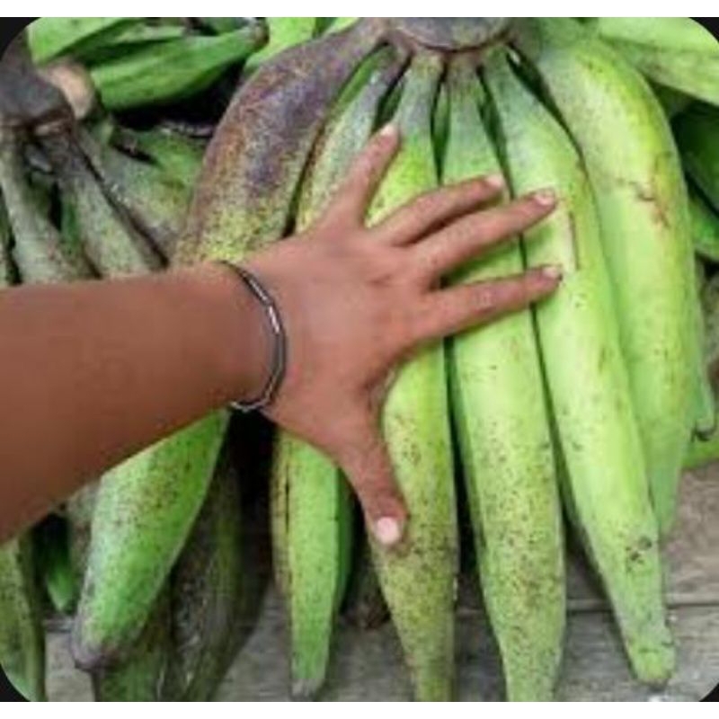 

keripik pisang tanduk asli lereng gunung Muria