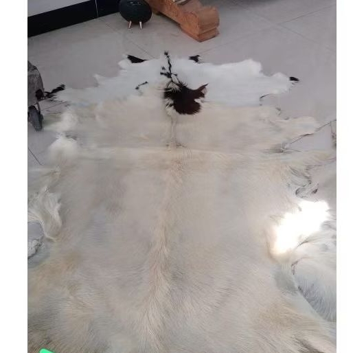 kulit kambing,kulit kambing yang sudah di samak,kulit bahanbatongan