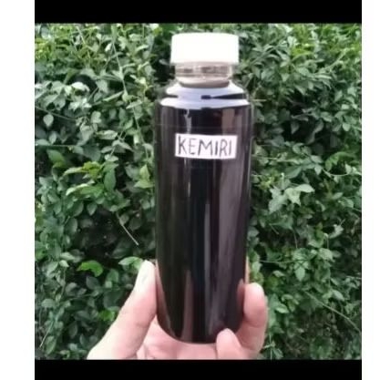 

MINYAK KEMIRI BAKAR