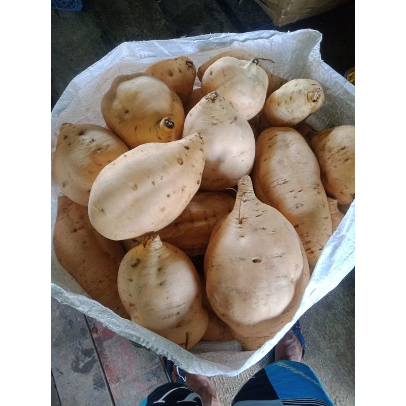 

UbiCilembuMentahGradeXL.1kg