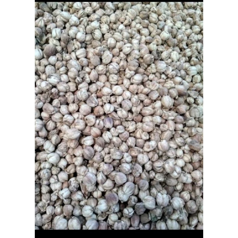 

Kapulaga kering 100gram