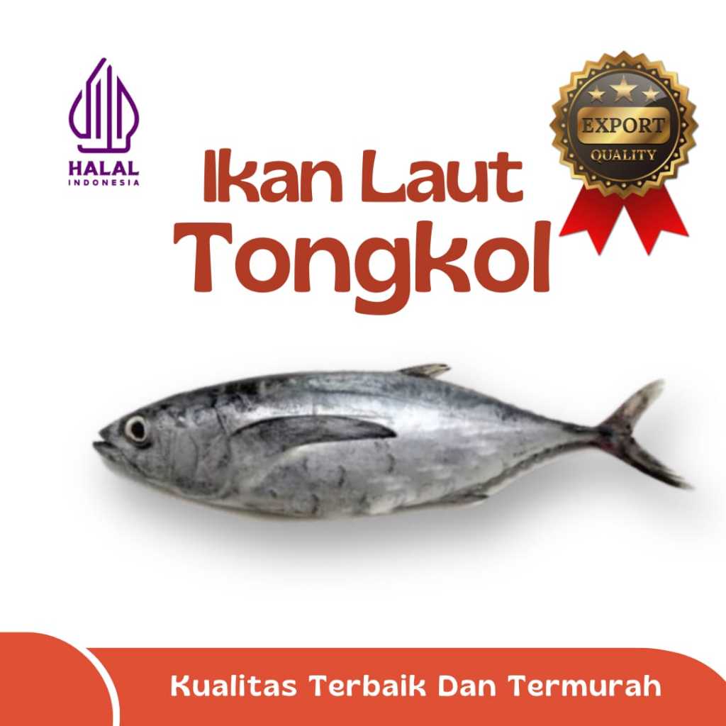 

IKAN LISONG / IKAN TONGKOL / IKAN LAUT EKSPOR QUALITY