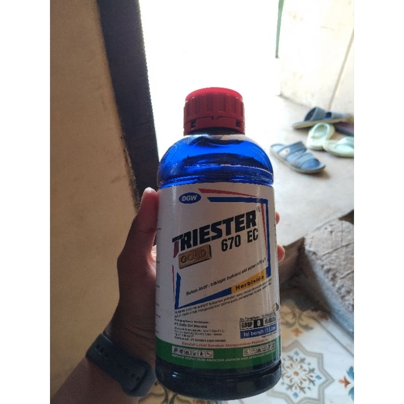 TRIESTER GOLD 670 EC 1 Liter