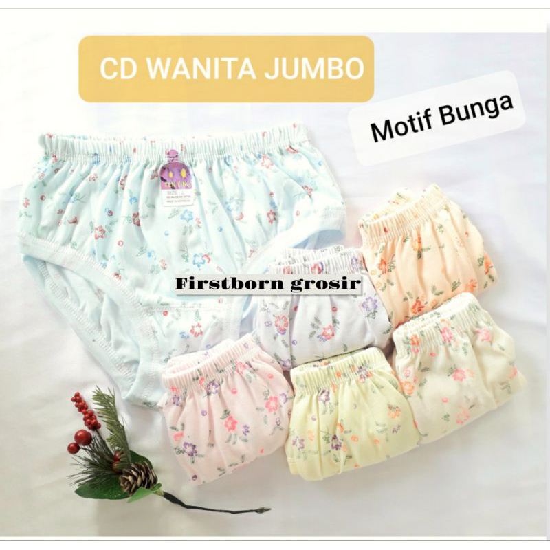 Isi 12pcs Celana Dalam Wanita Cawet Jumbo Model Sorex Lusinan Murah