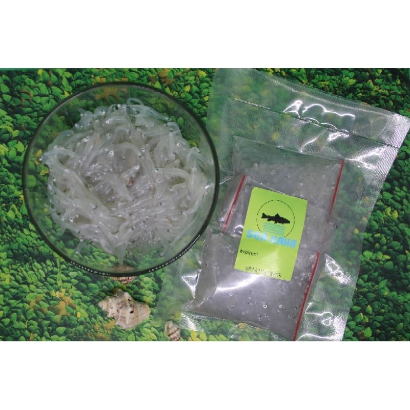 

teri nasi basah tawar kemasan 250gr prohe organik MPASI Cikampek Cikampek baru