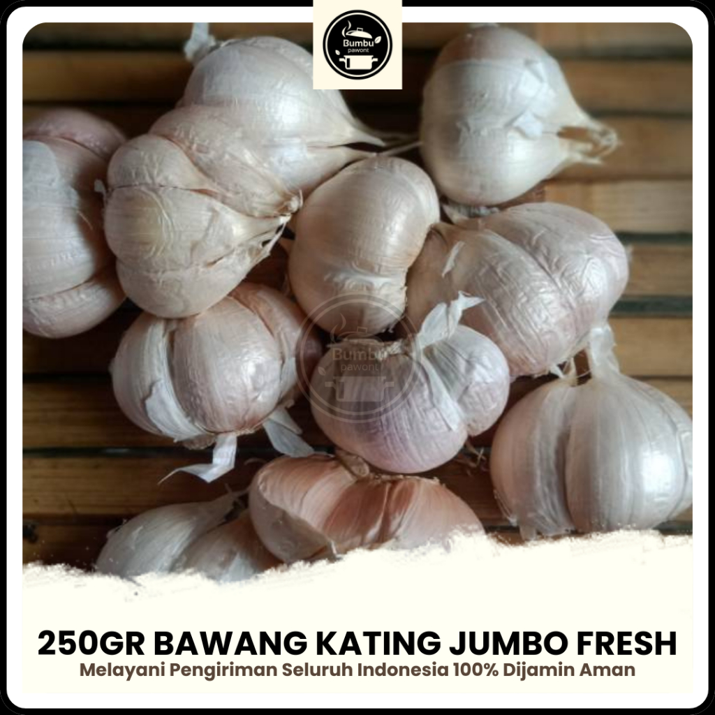

Bawang Putih Kating Jumbo 250gr Bersih Fresh