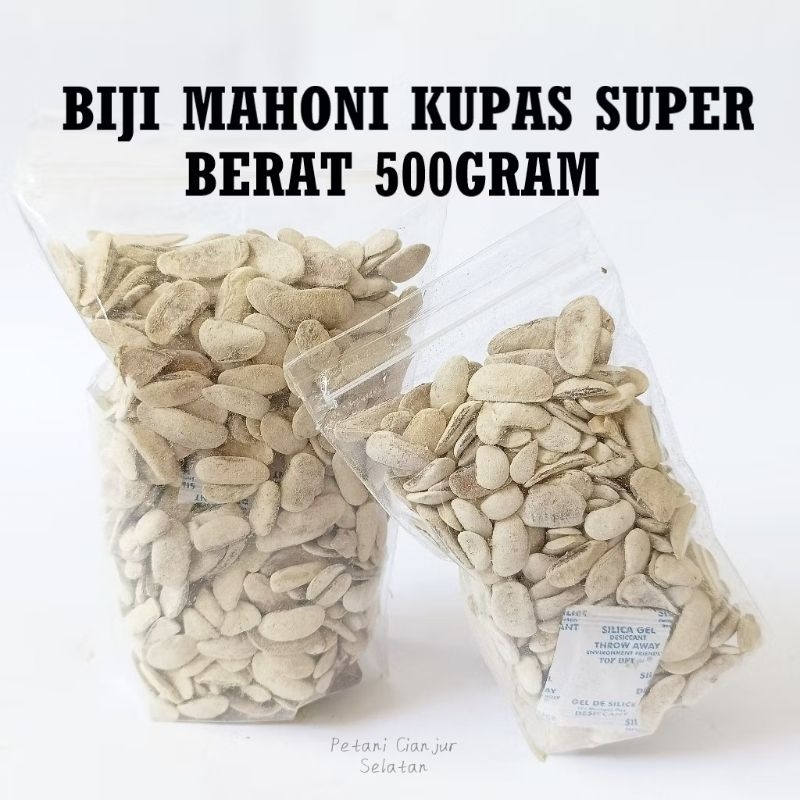 

Biji Mahoni Kupas 500gram | Xiang Tian Guo / Sky Fruits Herbal Obat Kolesterol