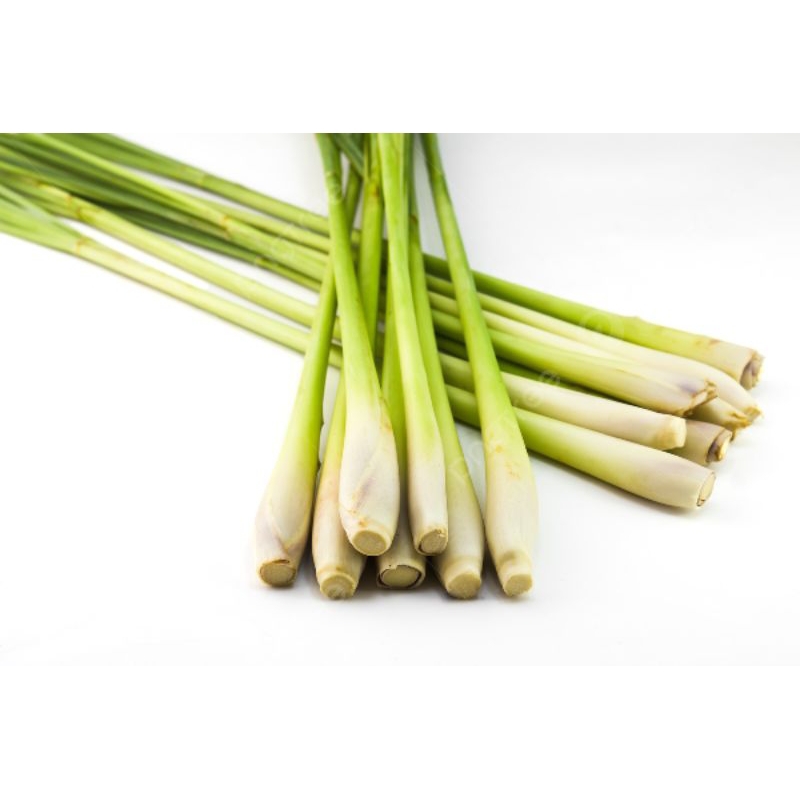 

sereh berat bersih 1kg fresh