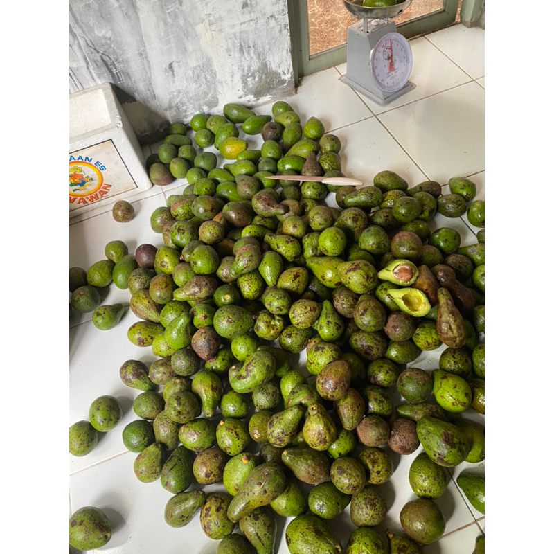 

BUAHALPUKATMENTEGA 1/2 kg