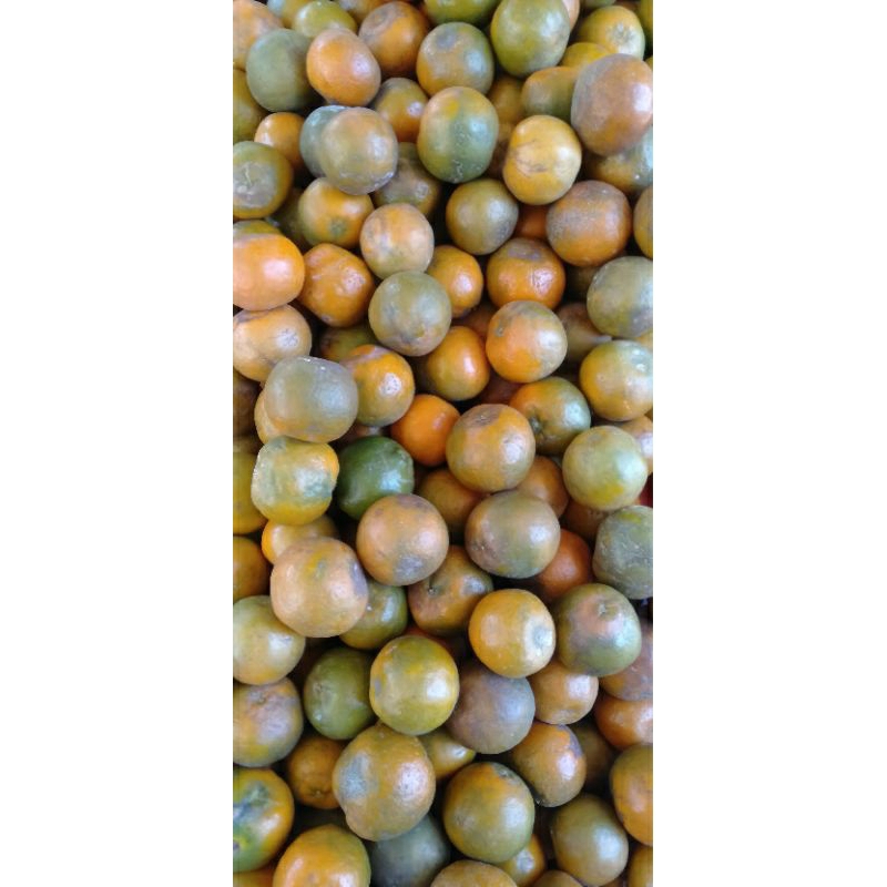 

BUAH JERUK KEPROK BATULIMA manis segar