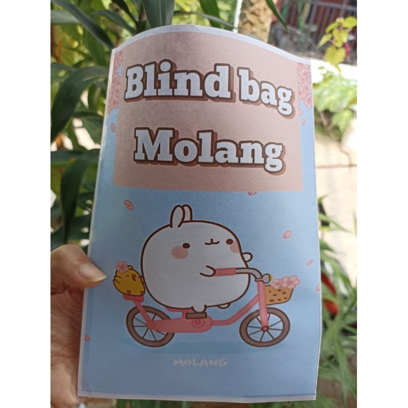 blind bag molang squishy paper