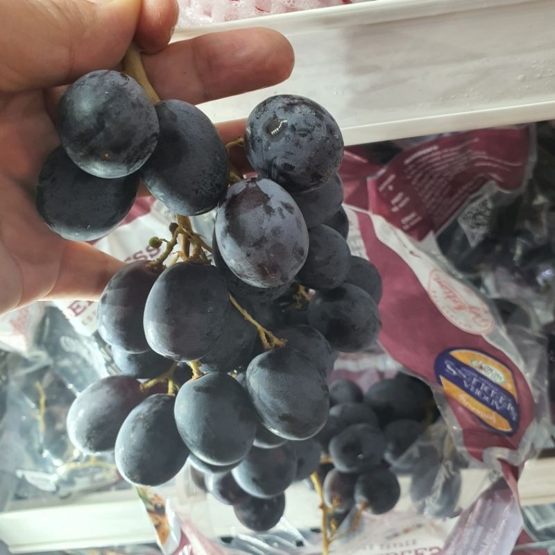 

Black Autum Seedless Adora 1kg