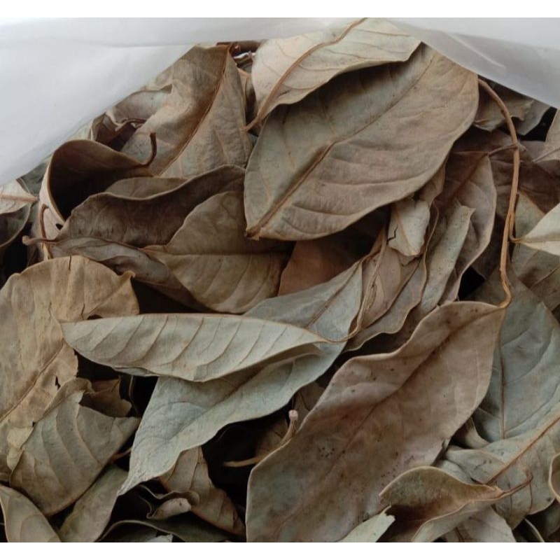 

daun pala