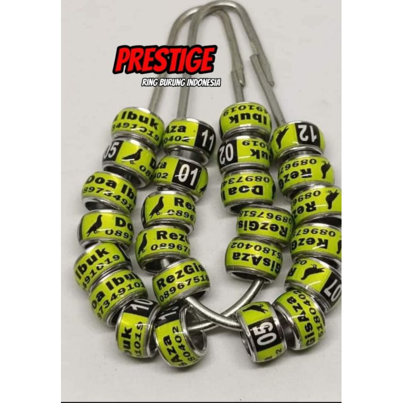 RING BURUNG MERPATI BALAP MERPATI KOLONG MERPATI RESING MERPATI GETTAKAN MODEL DONAT BAJA D'PRINTZ B