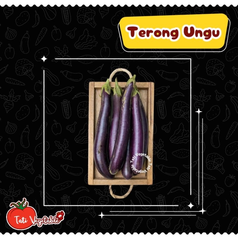 

Terong Ungu || Sayuran Segar || Tati Vegetable || Groceries