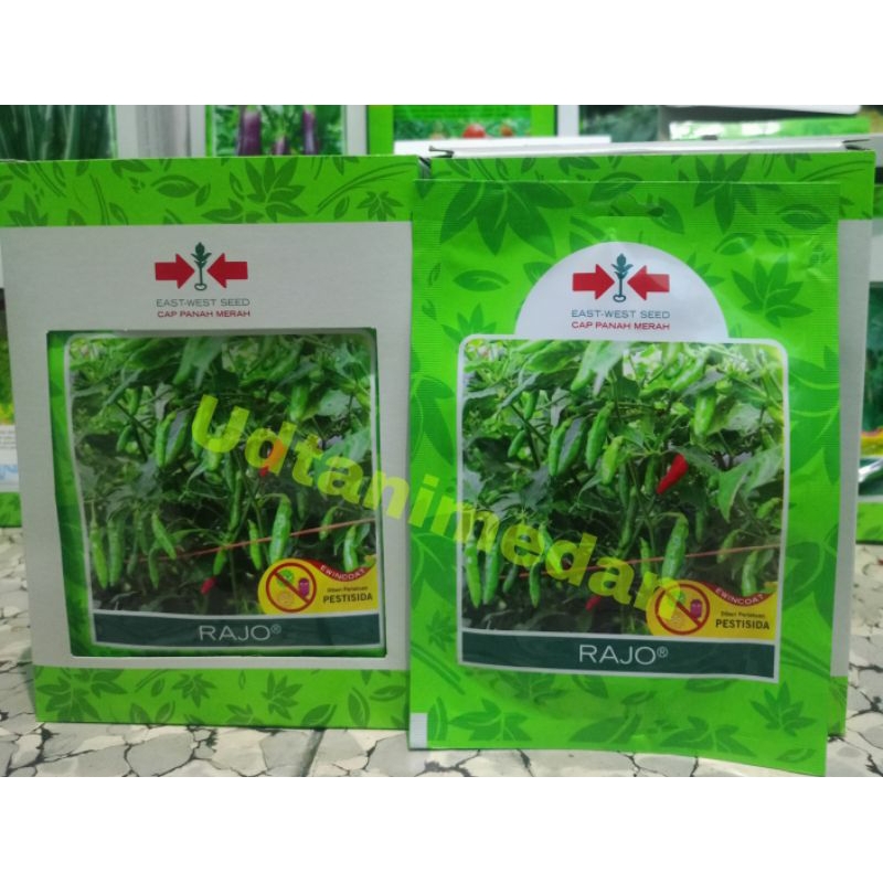 Benih Cabe Rawit Rajo isi 350 butir