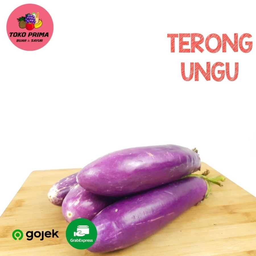 

Terong Ungu Per KiloGram