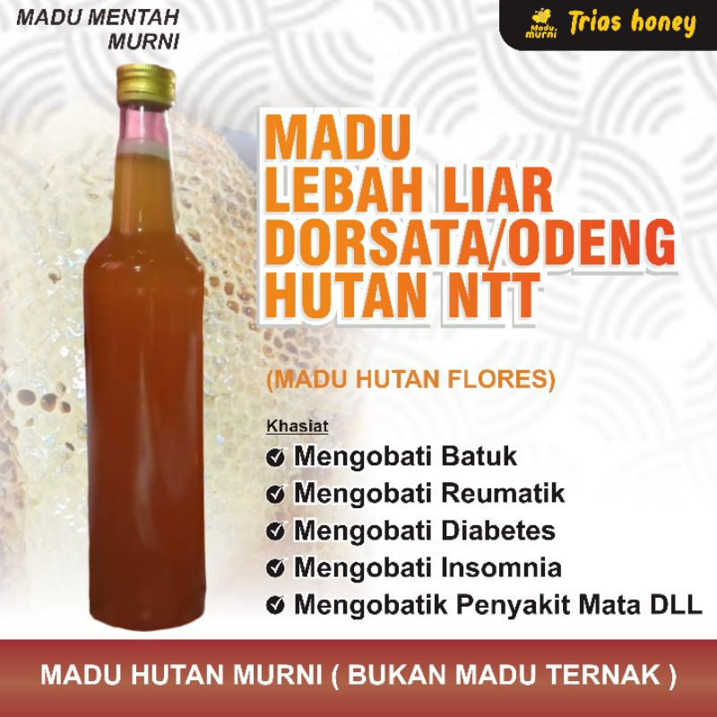 

Madu Hutan Murni 100% / Hutan NTT ujung kulon, Madu Hutan Asli Tanpa campuran