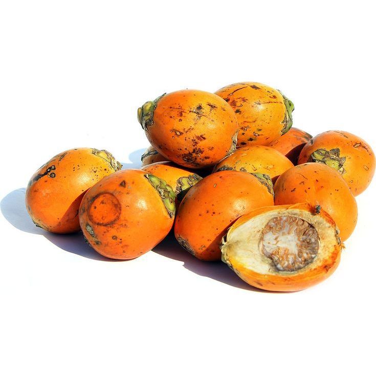 

Buah Jambe tua / buah pinang / jebug / Jambe tua 1 kg
