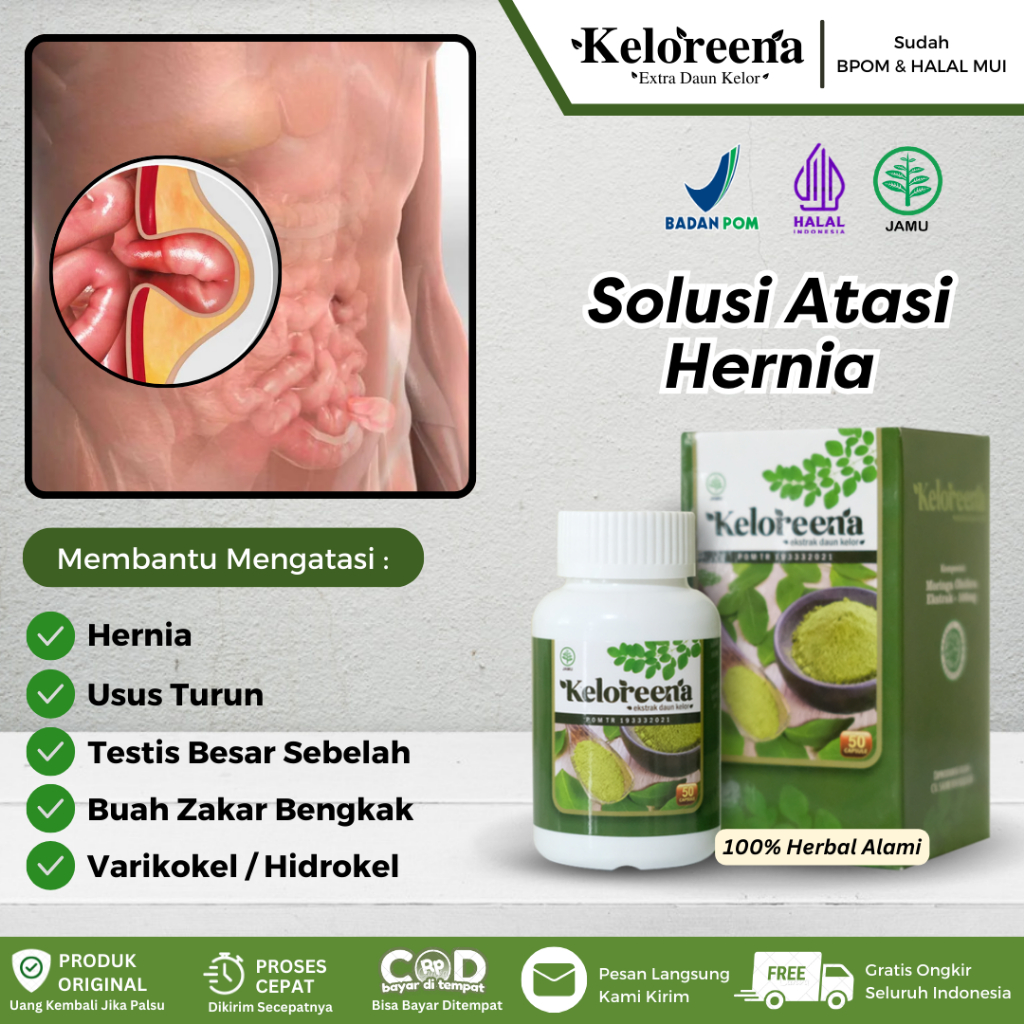 Obat Hernia, Turun Berok Pria, Benjolan di Kelamin, Gejala Hernia, Usus Turun, Testis Besar Sebelah,