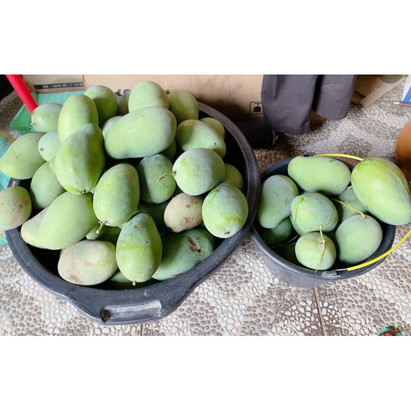 

buahmangga