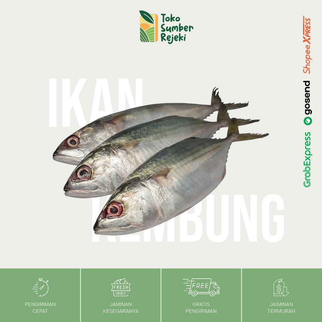 

Ikan Kembung Segar - Toko Sumber Rejeki Yogyakarta