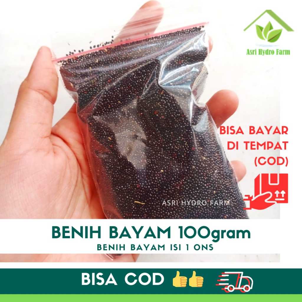 BENIH BAYAM 100 gram / 1 ons bayam cabut biji sayur bayam benih unggul