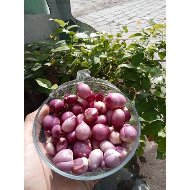 

Bawang Merah kupas 250 gram