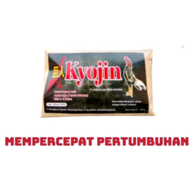 Kyojin Pakan Ayam Bangkok Raksasa