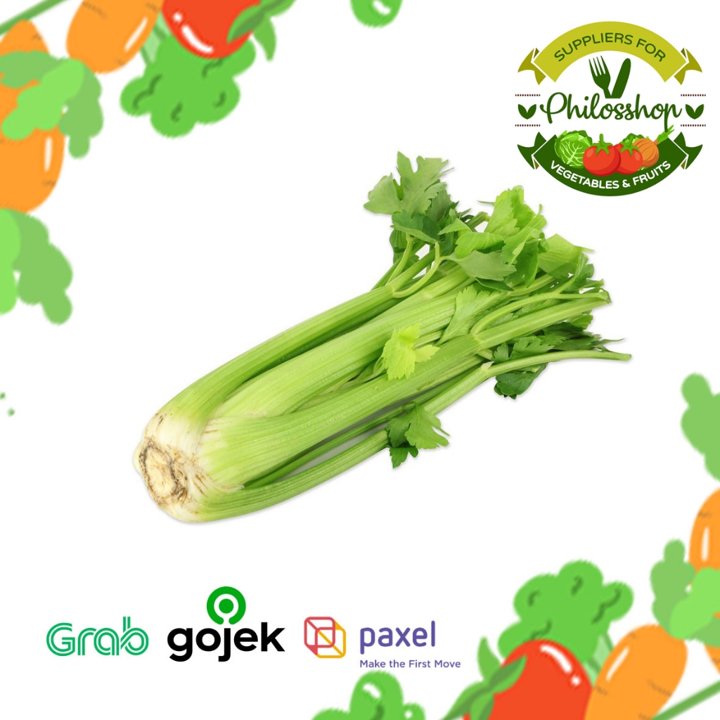 

Celery stick import / seledri stik impor CHINA FRESH PER PAX 10KG