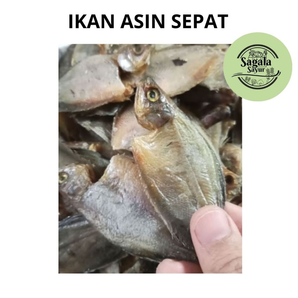 

IKAN ASIN SEPAT 100 GRAM