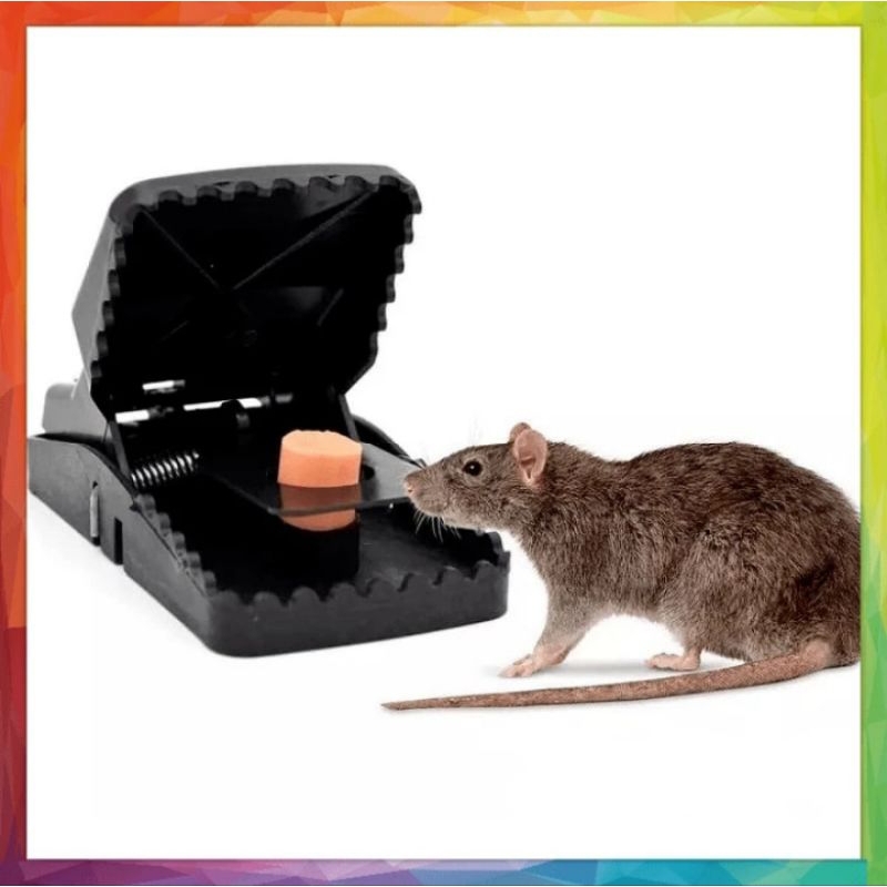 Perangkap Tikus Ampuh/perangkap tikus