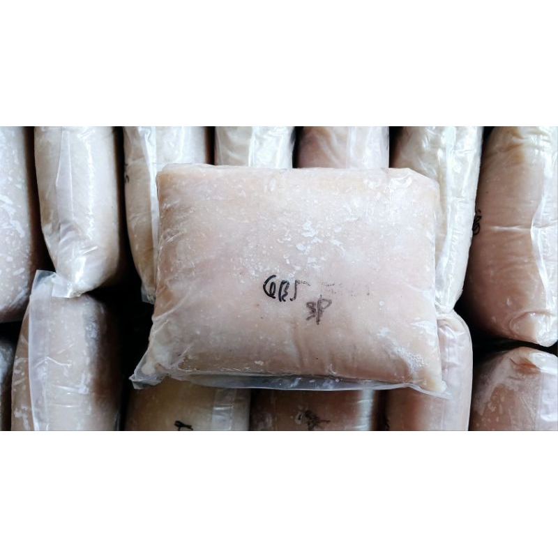 

GABUS SUNGAI SUPER/IKAN GILING GABUS