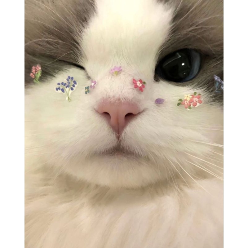 

artcantik