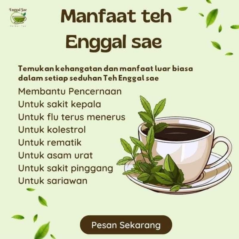

10 saset HERBAL TEA ENGGAL SAE