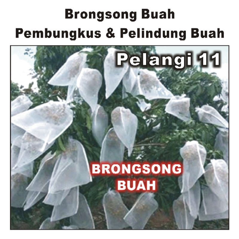 Brongsong Buah , Jaring Pembungkus & Pelindung Buah , Fruit Cover