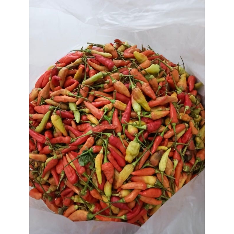 

Cabe rawit merah 1kg fresh