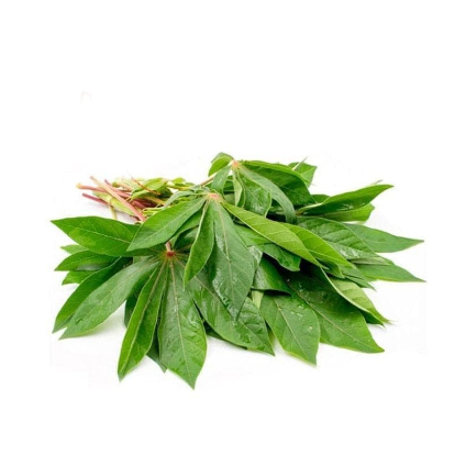 

KIRIM INSTAN DAUN SINGKONG FRESH 1 IKAT