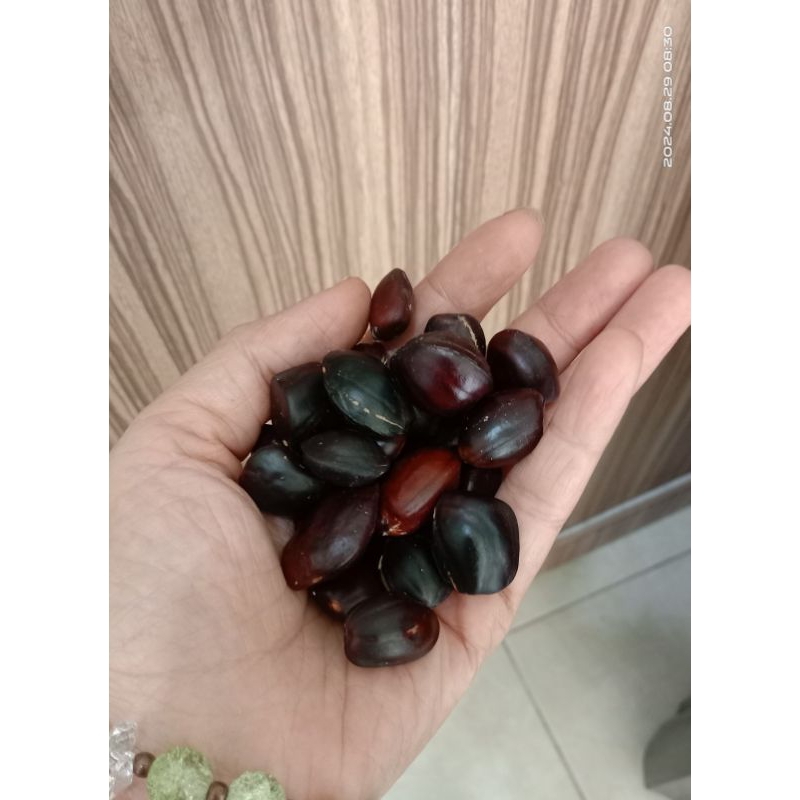 

Kabau 100gr