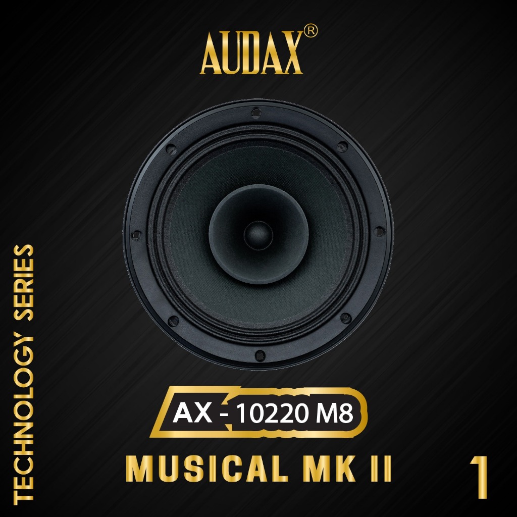 Audax - Speaker Pasif 10" AX-10220 M8 Full Range mid Low
