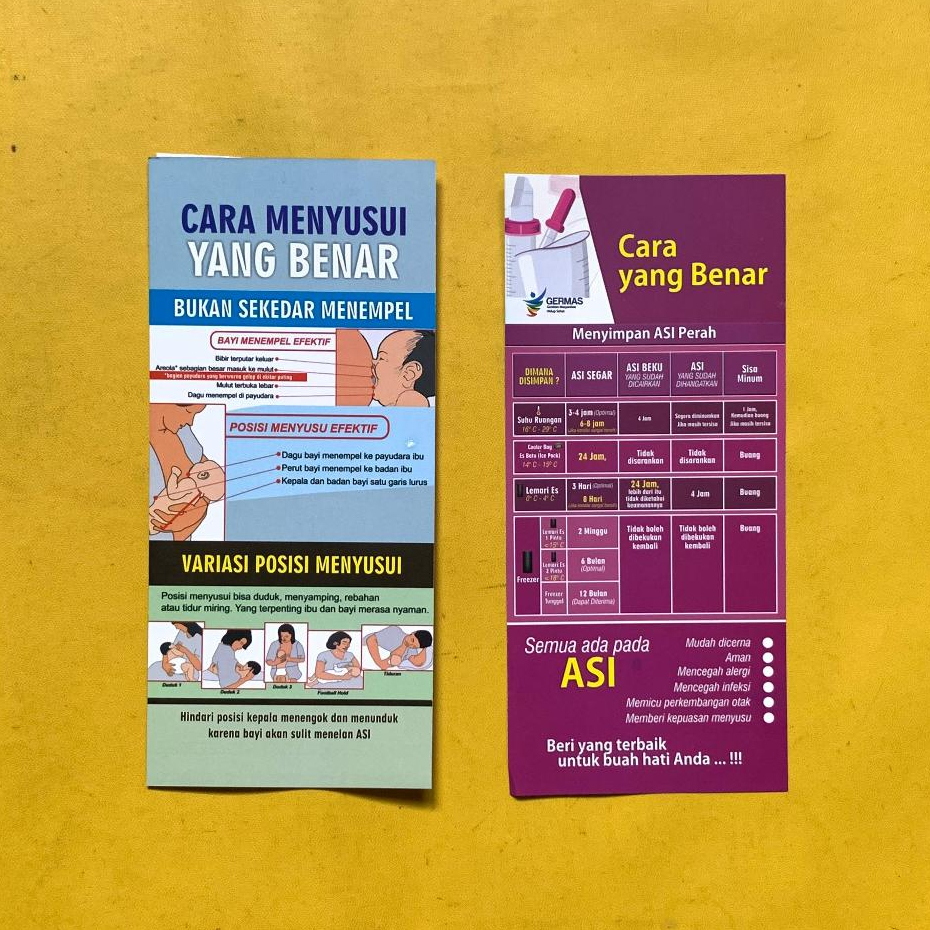 

Flyer Menyusui | Brosur Cara Menyusui yang Benar | Flyer Menyimpan ASI Perah yang Benar